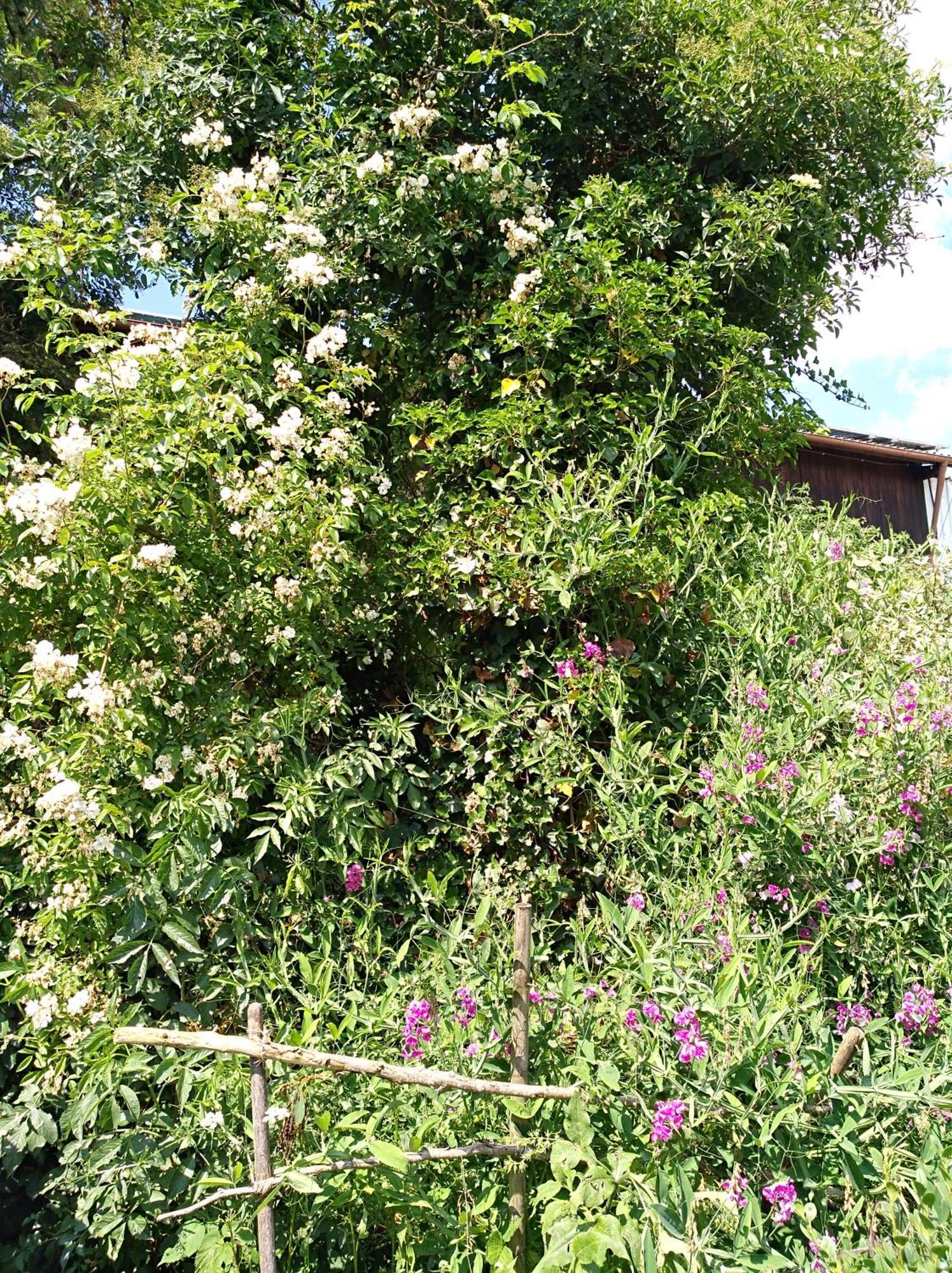 Landhaus Fohlenhof Mehrstetten Esterno foto